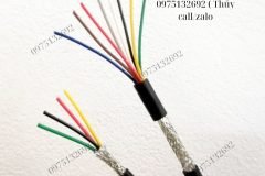 Cáp tín hiệu  AWM 2464 VW-1 300V 2C×0.22mm2 Altek Kabel