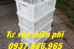 Sọt nhựa nguyên sinh, phân phối sọt nhựa toàn miền bắc, sọt màu trắng
