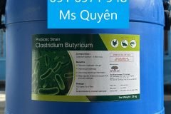 Men vi sinh Clostridium butyricum 5 tỷ CFU/g hàng Ấn Độ