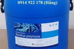 Bacillus Polymyxa, men vi sinh hỗ trợ đường ruột cho tôm cá