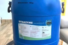 Dynazyme , Enzyme tiêu hóa, enzyme tăng trọng cho vật nuôi