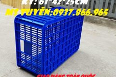 Sọt dung phổ biến kho bãi, sọt nguyên sinh, giá sọt nhựa, bán sọt toà