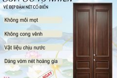 Cửa gỗ tự nhiên cổ điển: biểu tượng của đẳng cấp và giá trị vượt thời gian