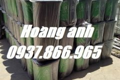 Thùng rác phân loại 2 ngăn, thùng rác 60l, bán thùng rác toàn quốc