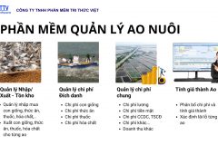 Giải pháp quản lý chi phí, lãi lỗ cho vùng nuôi thủy sản