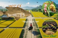 Bột Cá – Giải Pháp Hữu Cơ Đa Dụng Cho Nông Nghiệp
