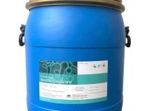 Men vi sinh Bacillus Coagulans, giúp tôm cá tiêu hóa tốt thức ăn