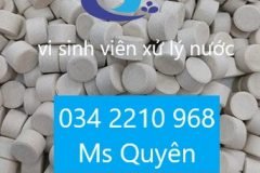 Men vi sinh viên 3g Biopro tablet nhập khẩu từ Mỹ