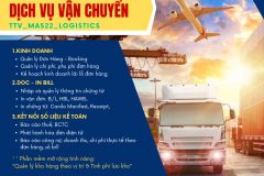 Phần mềm đơn hàng, chi phí và chứng từ vận chuyển