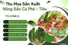 Quản lý thu mua, công nợ, sổ vay ngành Cafe, Tiêu