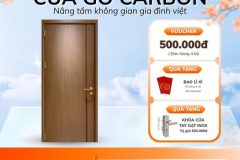Cửa gỗ carbon saigondoor 01