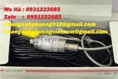 Cảm biến áp suất độ chính xác cao dòng ZHYQ PT124G-121-M22-152/460