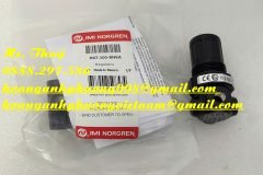 Norgren chính hãng - R07-100-RNKA - Hàng mới 100%