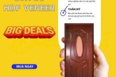 Cửa gỗ công nghiệp HDF Veneer: Sự kết hợp hoàn hảo giữa thẩm mỹ và kinh tế