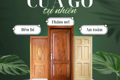 Cửa gỗ tự nhiên: Vẻ đẹp vĩnh cửu và đẳng cấp cho không gian sống