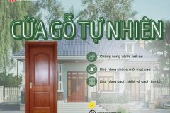 Cửa gỗ tự nhiên: Vẻ đẹp đẳng cấp và giá trị bền vững cho ngôi nhà Việt
