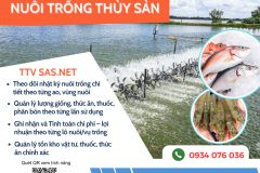 Phần mềm quản lý chi phí, doanh thu, lãi lỗ Vùng nuôi Thủy sản