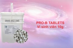 Pro - B Tablets - Vi sinh Mỹ dạng viên giúp làm sạch nước và đáy ao nuôi tôm cá