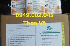 SACCHAROMYCES CEREVISIAE – Men tiêu hóa đậm đặc, phòng bệnh phân trắng hiệu quả