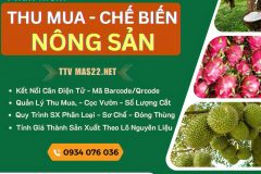 Phần Mềm Thu Mua Sản Xuất Chế Biến Nông Sản TTV