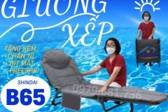 Giường gấp – lựa chọn thông minh cho văn phòng.