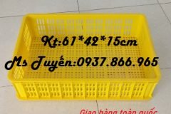 Sóng 1T5, sọt cao 15cm, sọt dùng kho lạnh, sọt đựng rau củ việt grap