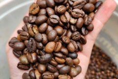 Đừng Bị Giá Rẻ Đánh Lừa – Cà Phê Giả Đang Hủy Danh Tiếng Của Bạn