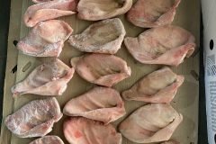 Giá tai heo heo nhập khẩu hôm nay mới nhất