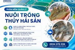 Phần mềm quản lý nuôi trồng thủy hải sản