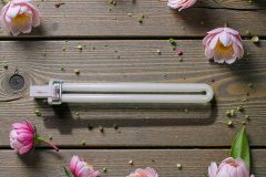 Bóng đèn thu hút côn trùng 11W chỉ dùng cho đèn KTP-22W