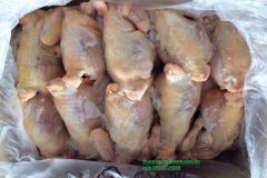 Cung Cấp Gà Đông Lạnh Cho Nhà Hàng, Quán Ăn