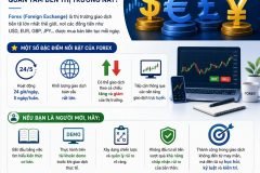 FOREX LÀ GÌ? TẠI SAO NHIỀU NGƯỜI QUAN TÂM ĐẾN THỊ TRƯỜNG NÀY?