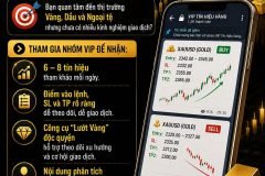 THAM GIA NHÓM VIP TÍN HIỆU THỊ TRƯỜNG