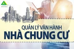 Dịch Vụ Quản Lý Vận Hành Tòa Nhà, Chung Cư, Cụm Chung Cư Chuyên Nghiệp