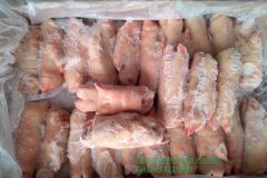 Chân Giò Heo Đông Lạnh Giá Rẻ