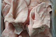 Tai heo nhập khẩu giá sỉ toàn quốc