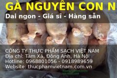 Gà Nguyên Con Đông Lạnh Hàng Nhập Khẩu