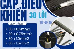 Cáp Điều Khiển 30 Lõi ALTEK AKBEL