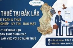 Top Dịch Vụ Đại Lý Thuế, Kế Toán Thuế Tại Đắk Lắk Uy Tín Nhất