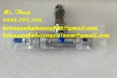 Festo DSNU-16-10-P - Xi lanh mới 100% - Giao toàn quốc