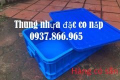 Thùng nhựa nguyên sinh B1, thùng đặc có nắp, khay cơ khí, khay nhựa bít