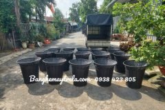 Giỏ trưng trái cây