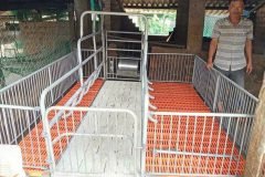 CHUỒNG HEO NÁI ĐẺ SIÊU RẺ!!!