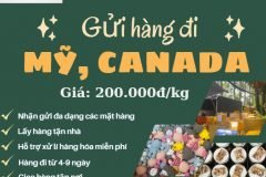 Gửi hàng đi USA, Canada - Tiến Việt Express