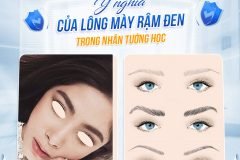 Ý nghĩa lông mày rậm đen trong tướng học