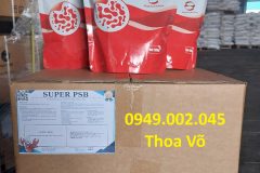 SUPER PSB Rhodo – Vi Khuẩn Quang Hợp Xử Lý Nước, Khử NH3, NO2 Ao Nuôi