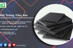 GIẢI PHÁP TIÊU ÂM HIỆU QUẢ VỚI MÚT TRỨNG TẠI NỘI THẤT DHG