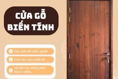 Cửa gỗ biến tính là gì? Giải pháp cửa gỗ cao cấp thách thức mọi thời tiết