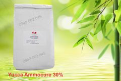 Yucca Ammocure 30 - Yucca nguyên liệu hấp thu khí độc ao nuôi