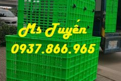 Khay nhựa, thùng cơ khí trong nhà xưởng, thùng đặc đựng đồ kim khí, khay nhựa